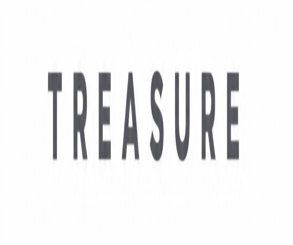 TREASURE